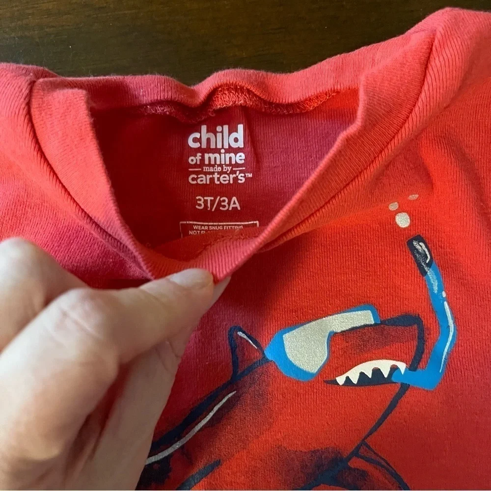 Carter’s / TCP | 2 pairs of short sleeve pjs | boy 2t & 3t